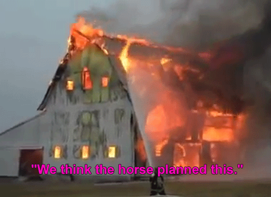 tumblr_ncqv3fqz0K1s71q1zo1_1280