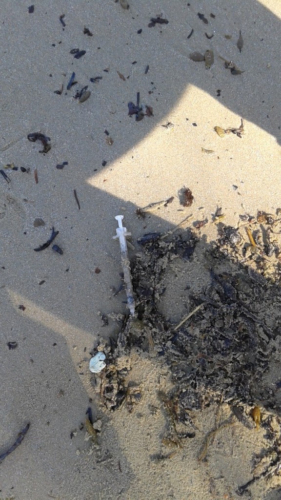 Just a normal beach day. (Photo courtesy of Because Gloucester/Shellee Viator)