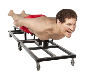 The Hoffcart approves