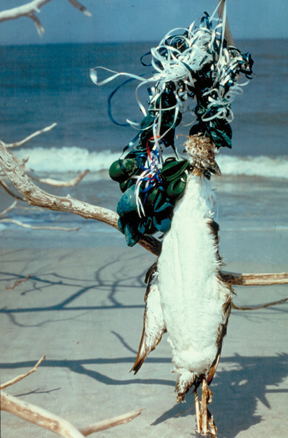 Awesome, good job, fantastic everyone.